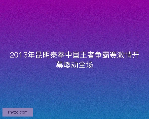 2013年昆明泰拳中国王者争霸赛激情开幕燃动全场