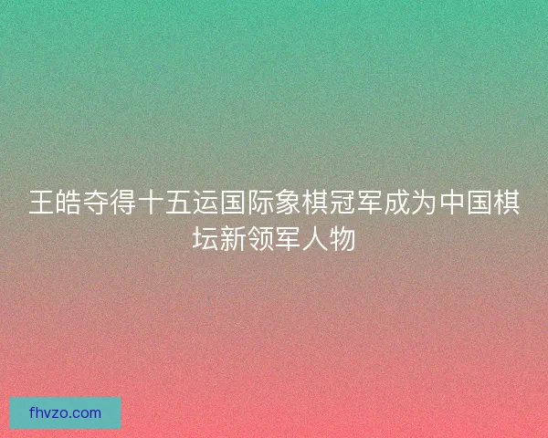 王皓夺得十五运国际象棋冠军成为中国棋坛新领军人物 王皓夺得十五运国际象棋冠军成为中国棋坛新领军人物